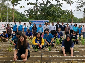 วันที่ 20 สิงหาคม 2563
มหาวิทยาลัยราชภัฏสวนสุนันทา
ศูนย์การศึกษาจังหวัดระนอง
จัดโครงการพัฒนาสวนพืชผักสมุนไพรในแหล่งเรียนรู้ของศูนย์การศึกษาจังหวัดระนอง
