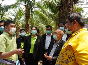 ศูนย์ฯระนอง​ร่วมกิจกรรมงานวันถ่ายทอดเทคโนโลยีเพื่อเริ่มต้นฤดูกาลผลิตใหม่​(Field​
Day)​ ปี​ 2564